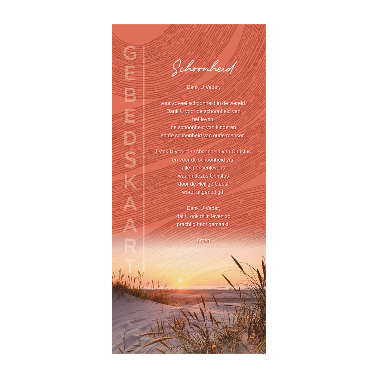 MA24054 Schoonheid VZ 6a826df6