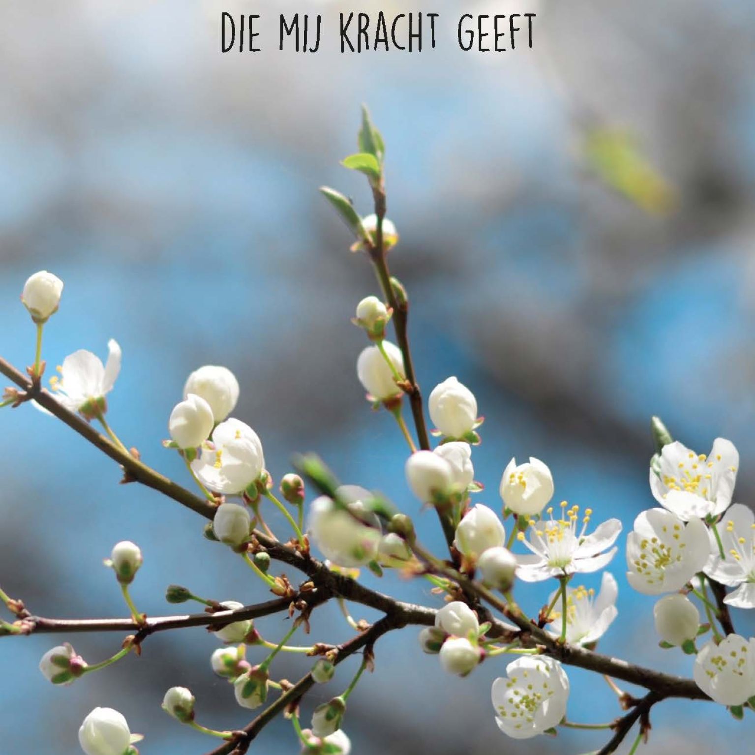 Opwekking 122 - 552650 -  Opwekking bij MajesticAlly