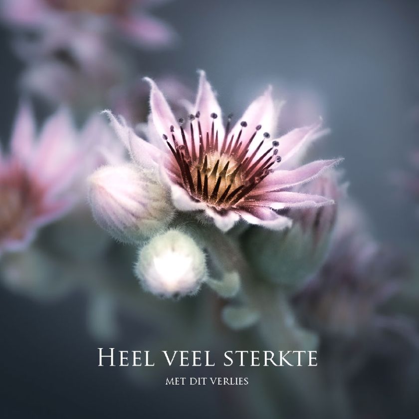 MA34119 - Vierkante wenskaart 'Heel veel sterkte met dit verlies'