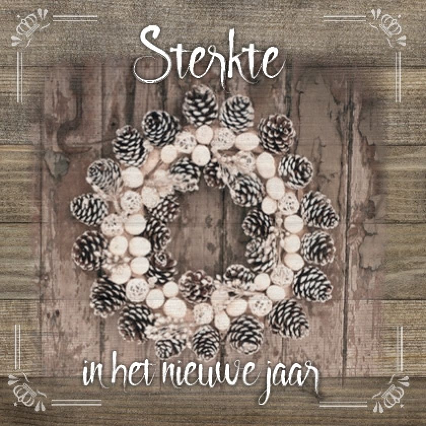Kerstkaart 'Sterkte in het nieuwe jaar' - MA19042 -  Algemene kerstkaarten bij MajesticAlly