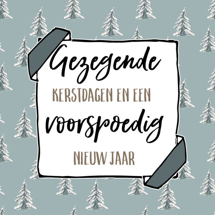 Gezegende kerstdagen en een voorspoedig nieuw jaar
