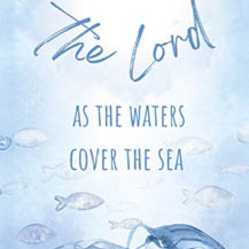 MA23209 Boekenlegger Glory 6d21e4a8