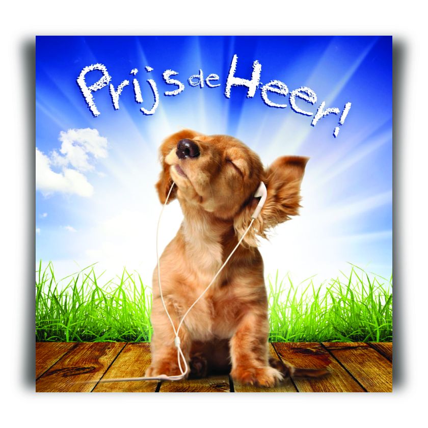 Choice kaartje prijs de Heer - MA11203 -  Minikaartjes - vierkant bij MajesticAlly