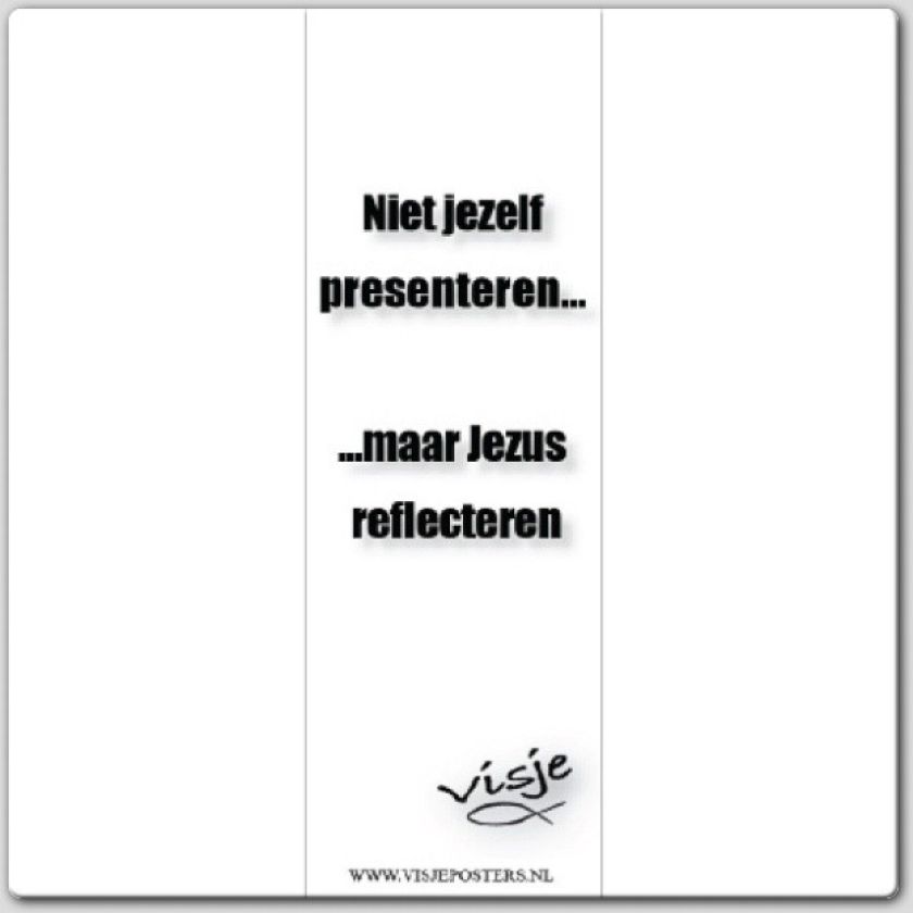 Boekenlegger visje niet jezelf presenter - 44853 -  Visje bij MajesticAlly