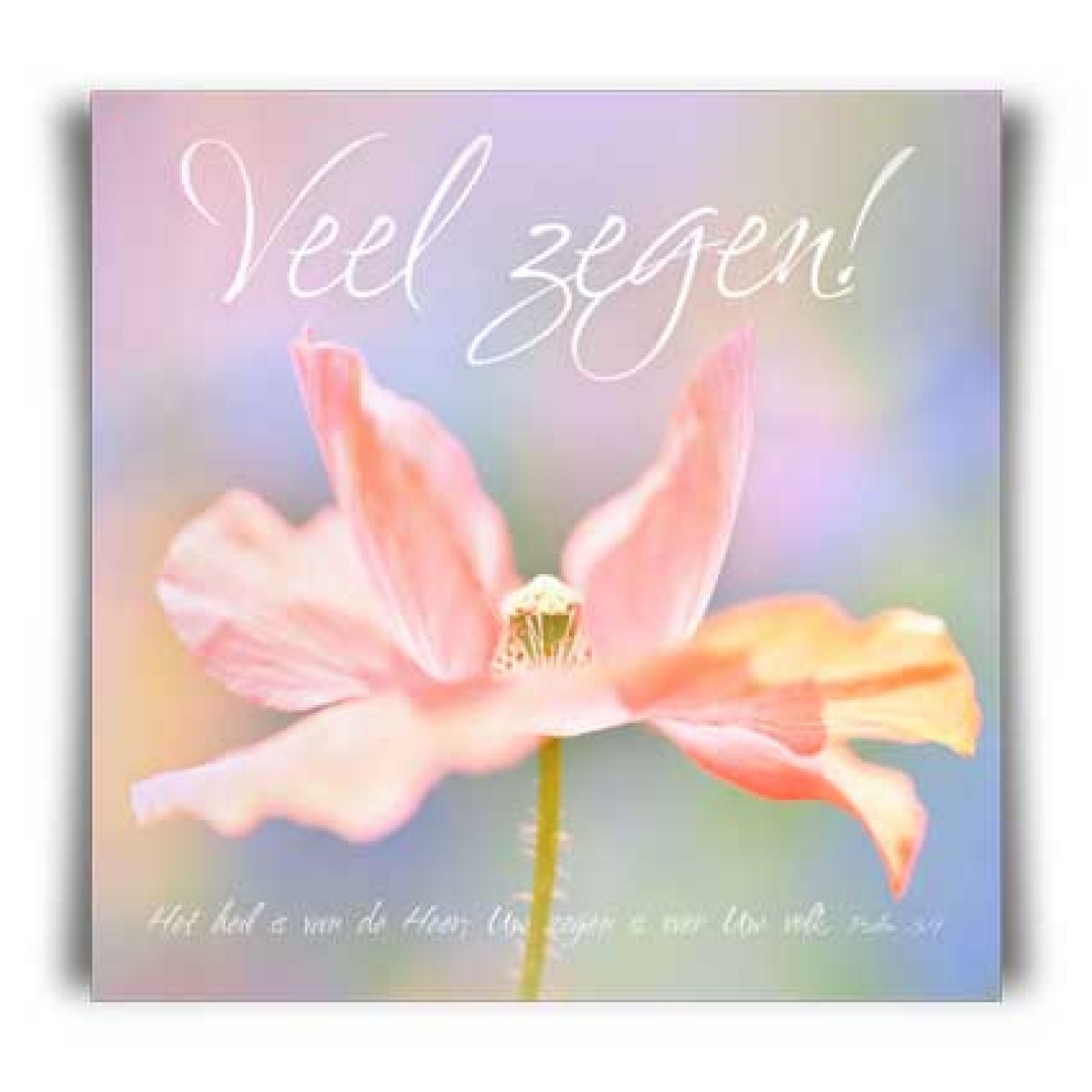 Kaart 'Veel zegen! - MA11013 -  David Sörensen bij MajesticAlly