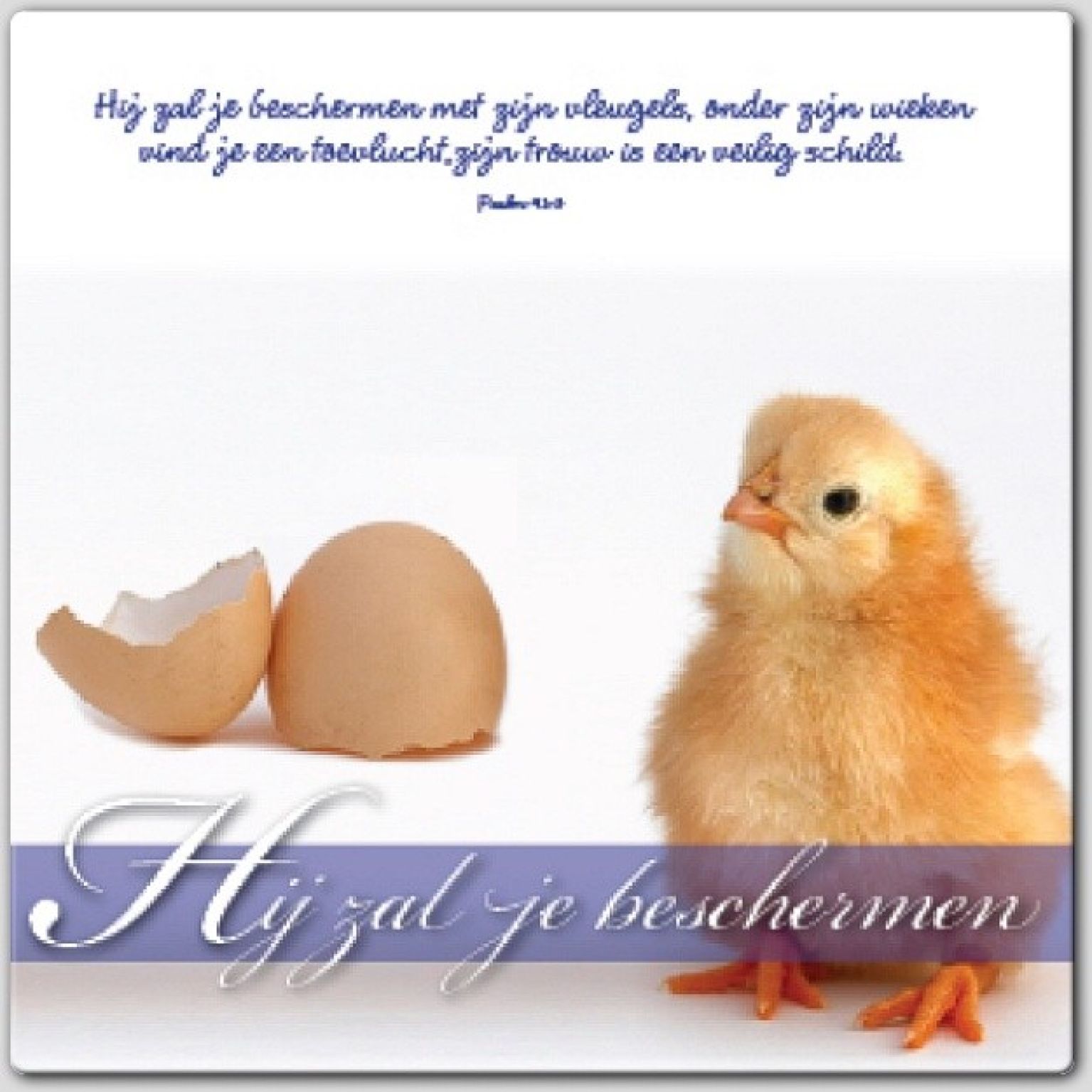 Wenskaart 'Hij zal je beschermen' - 46168 -  Bemoediging bij MajesticAlly