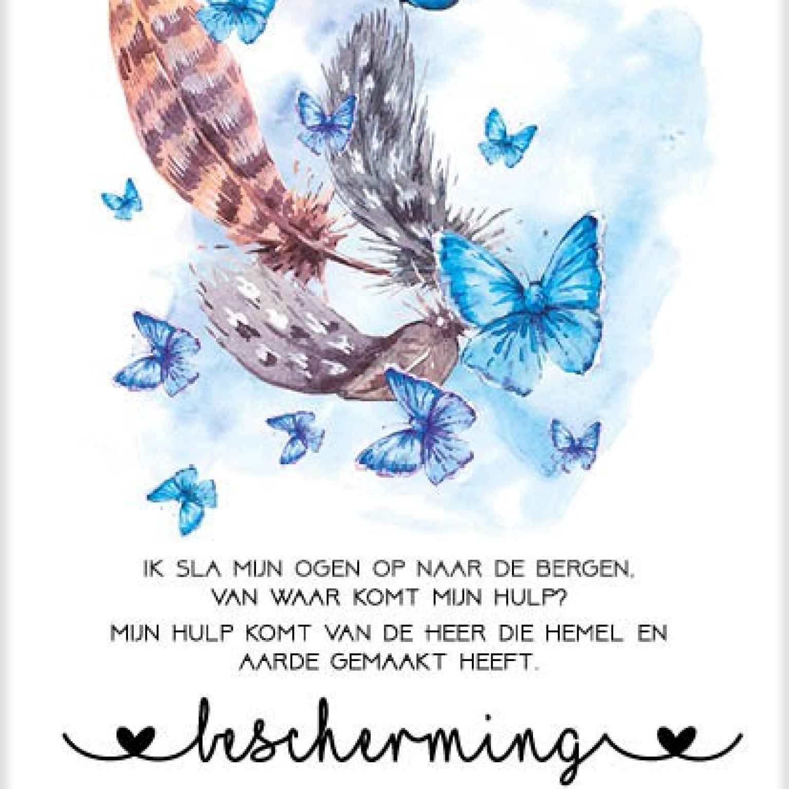 Kaart 'Bescherming' - MA31023 -  Bloom bij MajesticAlly