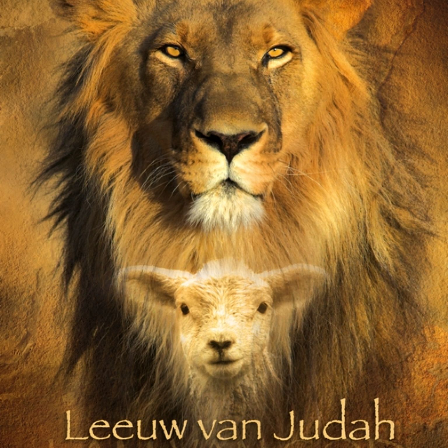 Poster A3 'Leeuw van Judah' - MA11373 -  Posters A3 bij MajesticAlly