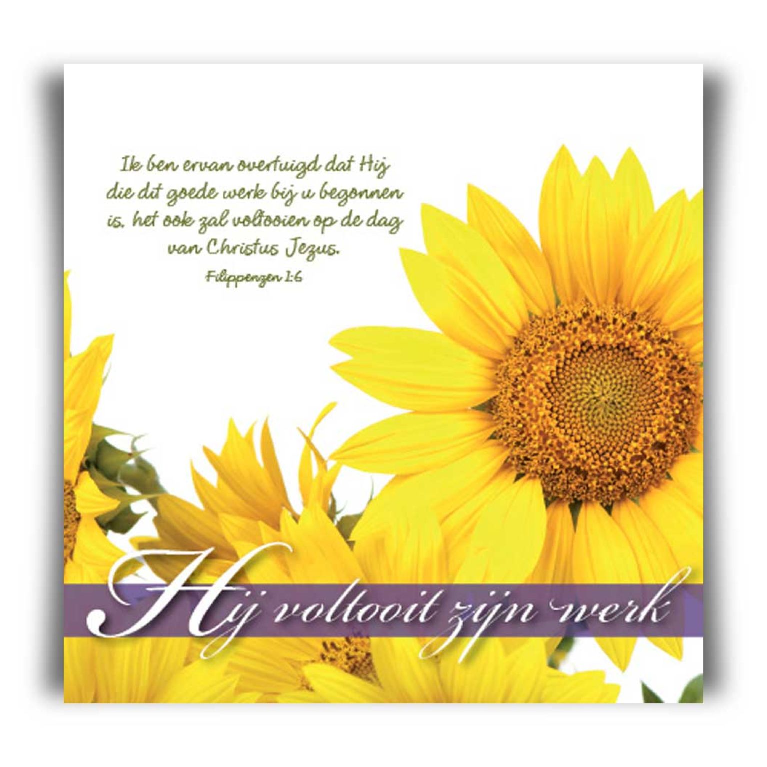 Choice kaartje geef je zorgen aan Hem - 42033 -  Minikaartjes - vierkant bij MajesticAlly