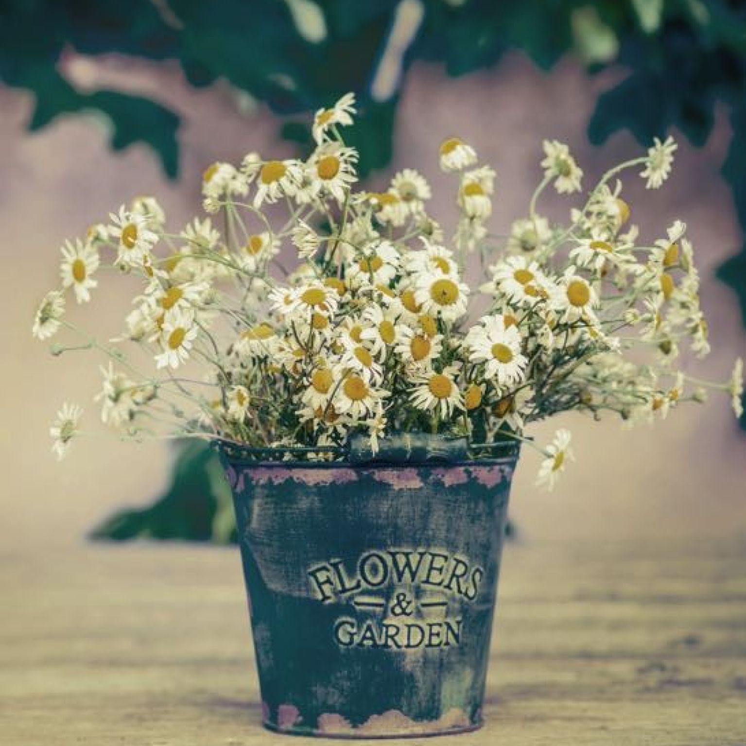 Kaart 'Pot met bloemen' - MA40006 -  Landelijk bij MajesticAlly