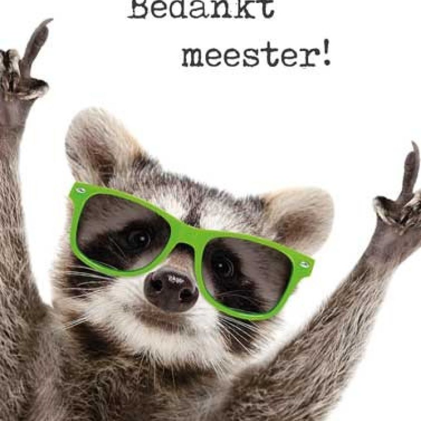 Voordeelkaart 'Bedankt meester - wasbeer' - MA38067 -  Voordeelkaarten christelijk bij MajesticAlly