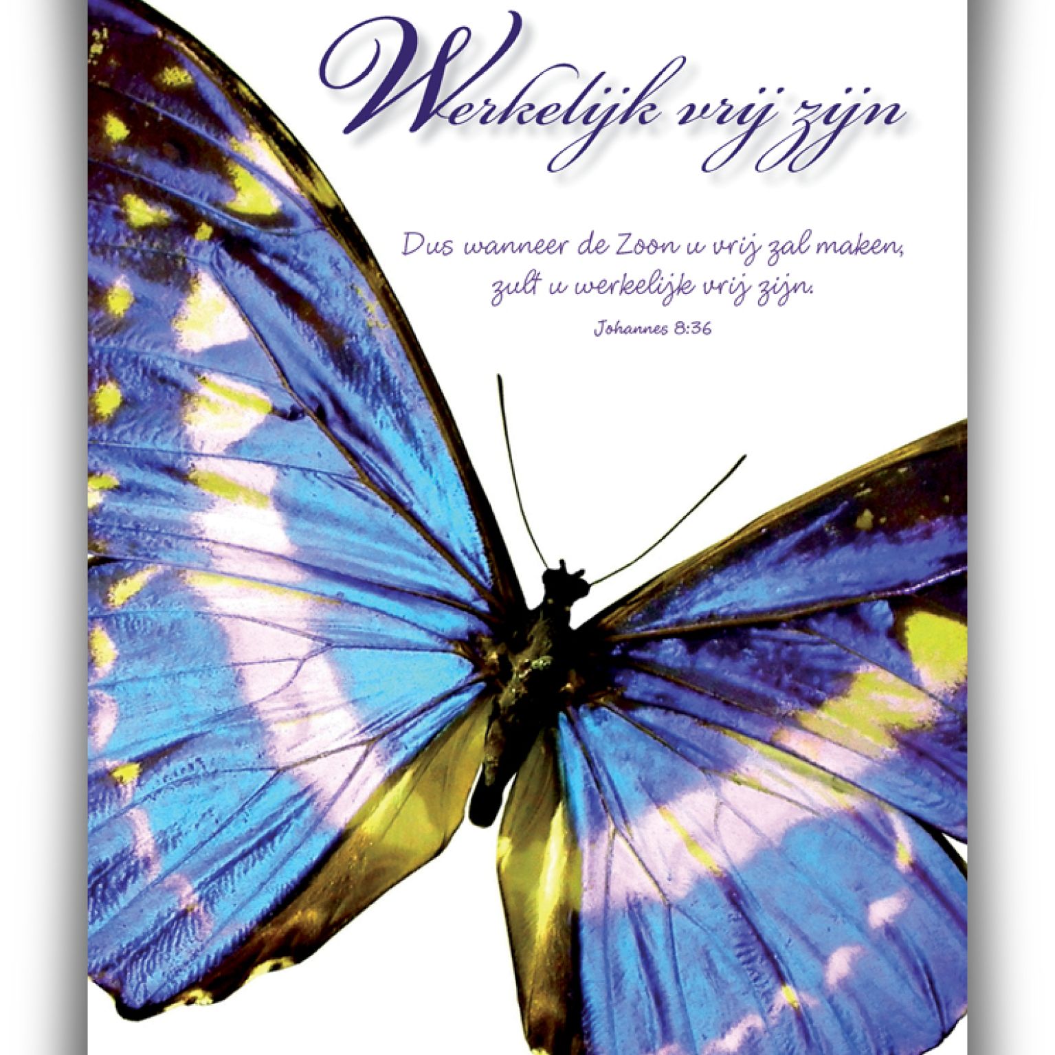 Poster A4 'Werkelijk vrij zijn' - 46821 -  Wanddeco/posters bij MajesticAlly