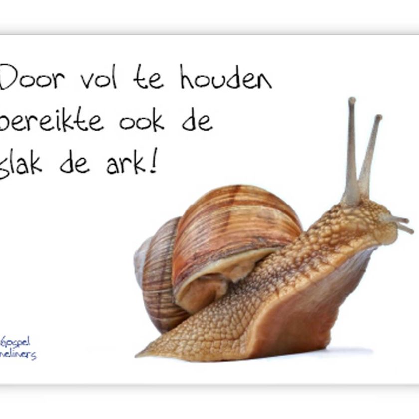 Poster A4 door vol te houden - 46711 -  Wanddeco/posters bij MajesticAlly