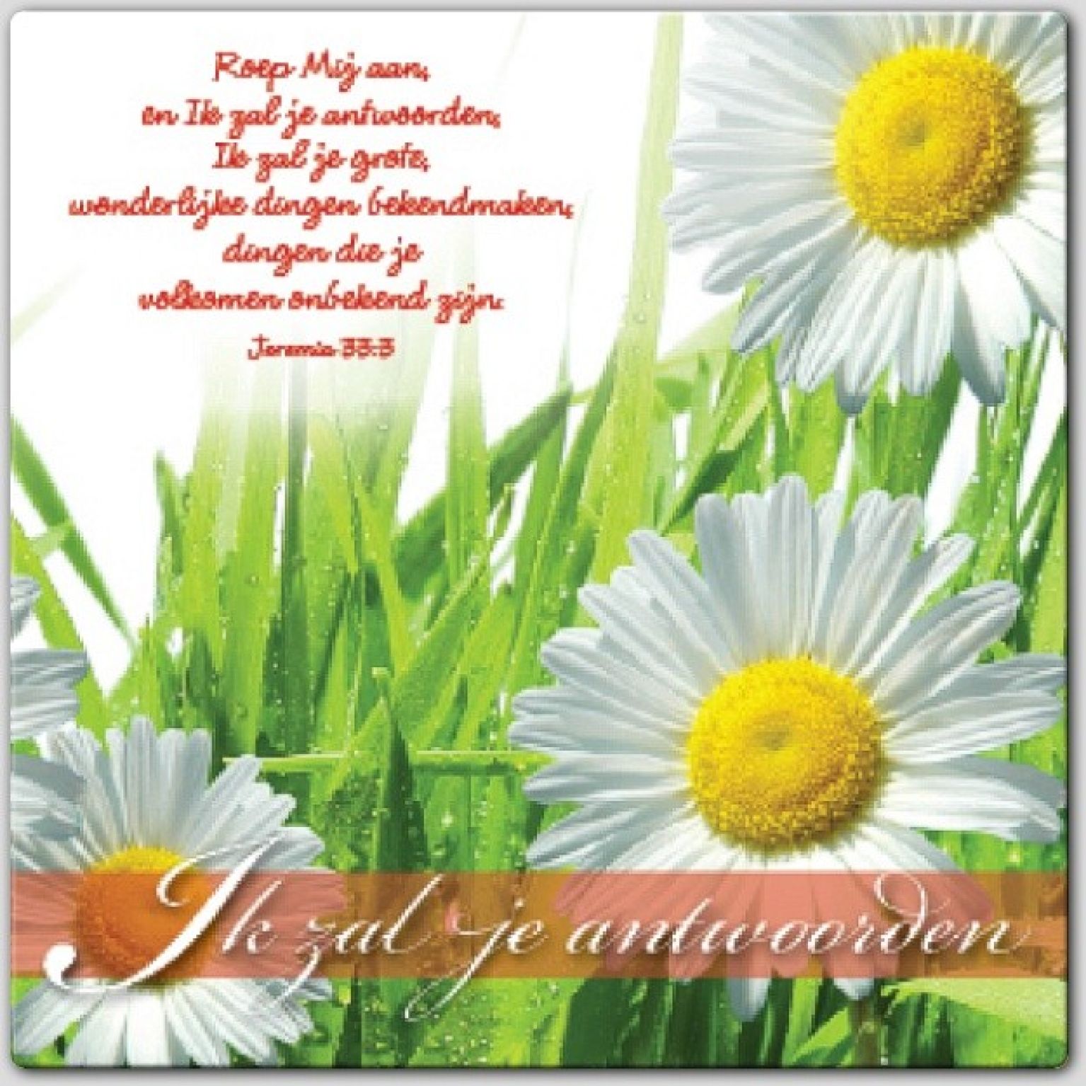 Wenskaart 'Ik zal je antwoorden' - 46167 -  Bemoediging bij MajesticAlly