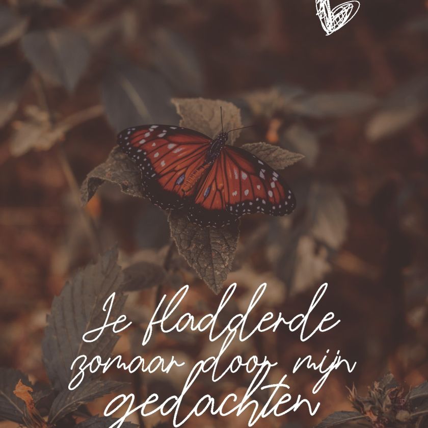 Wenskaart 'Zomaar - vlinder' - MA44013 -  LUV2022 bij MajesticAlly