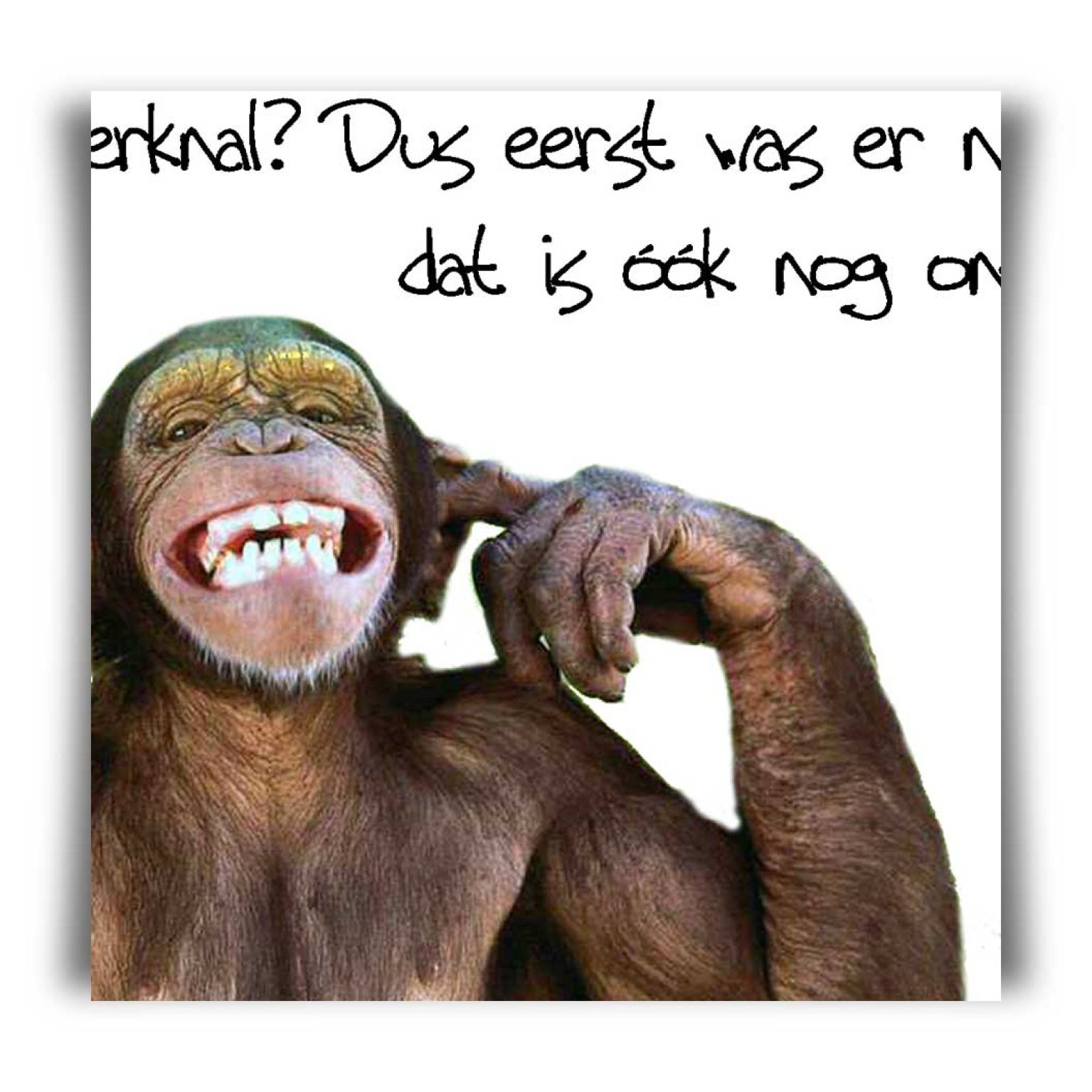 Choice kaartje oerknal? - MA10112 -  Minikaartjes - vierkant bij MajesticAlly