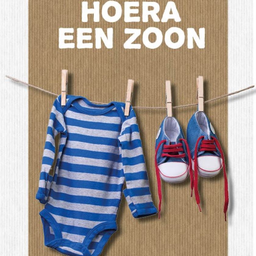 Sponsorpakket 40 kaarten met envelop - MA17000S -  Leef!  bij MajesticAlly