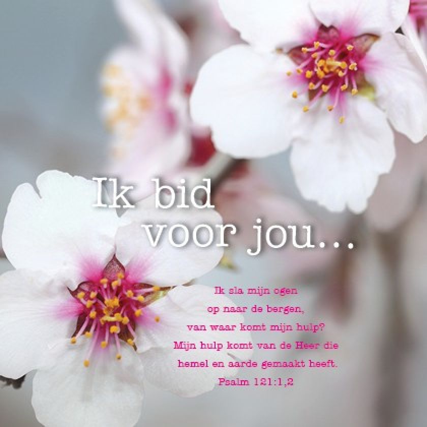 * Voordeelpakket Lifestyle  - 36 kaarten - MA12200 -  Pakjes kaarten bij MajesticAlly