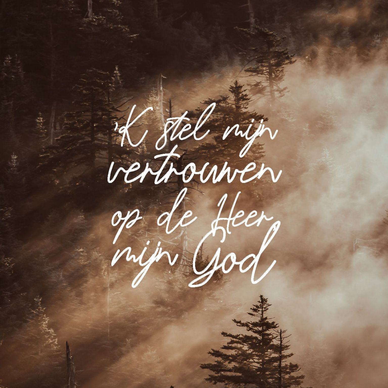 Wenskaart 'k stel mijn vertrouwen - MA44040 -  LUV2022 bij MajesticAlly