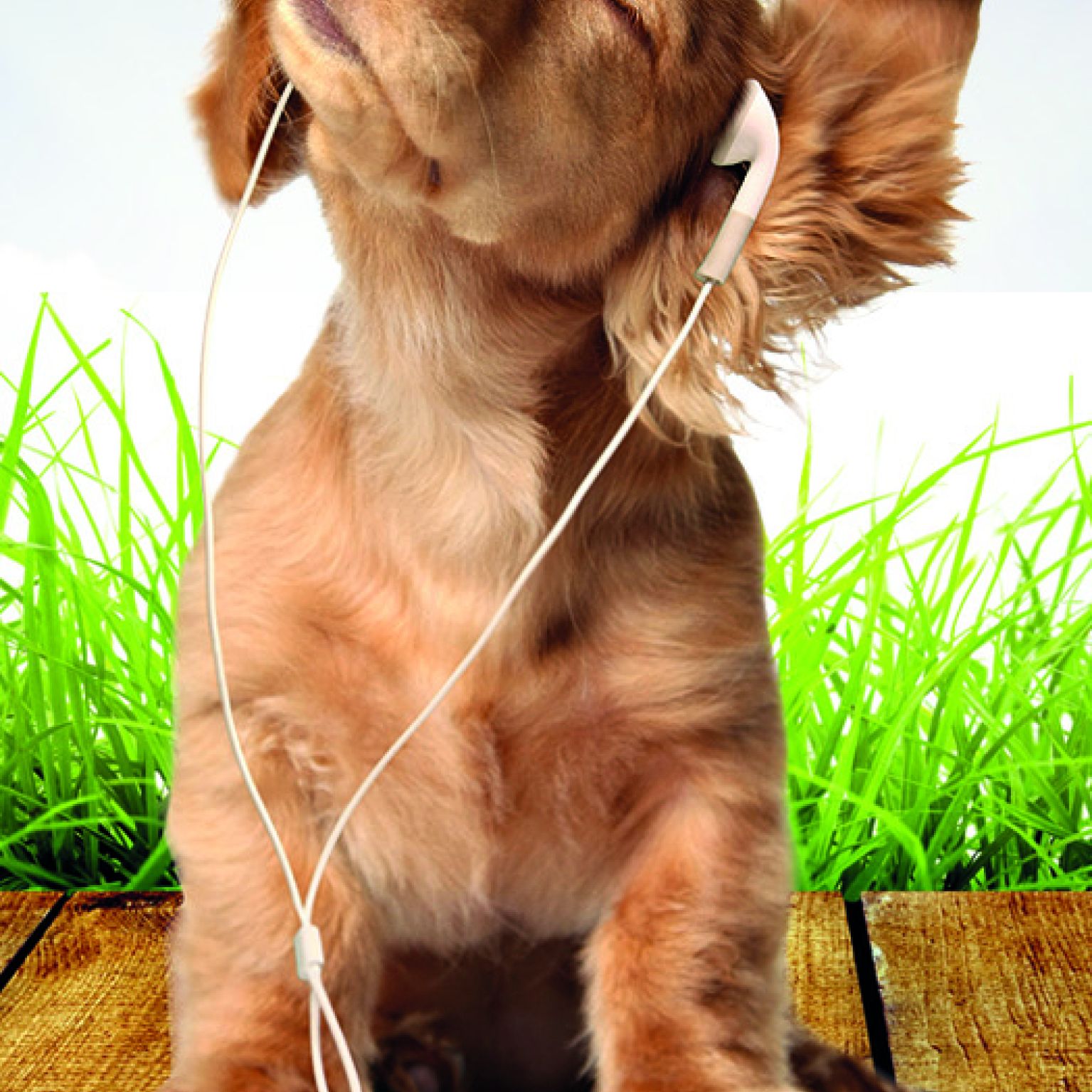 MA11402 Prijs de Heer 848b474e