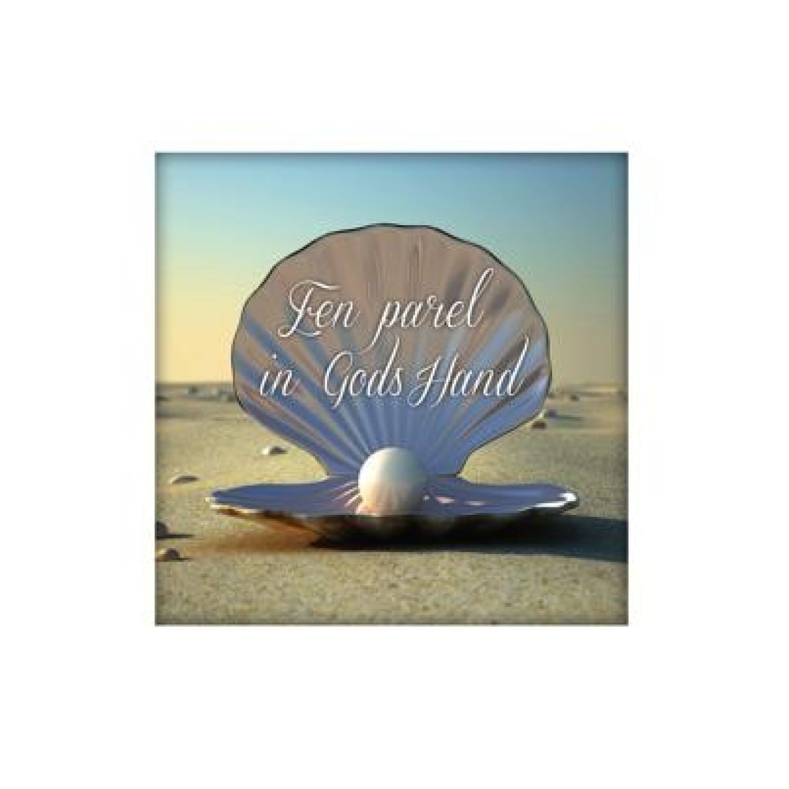 Sponsorpakket  'Living Melodies' voor een bijbel - MA15000S -  Living Melodies bij MajesticAlly