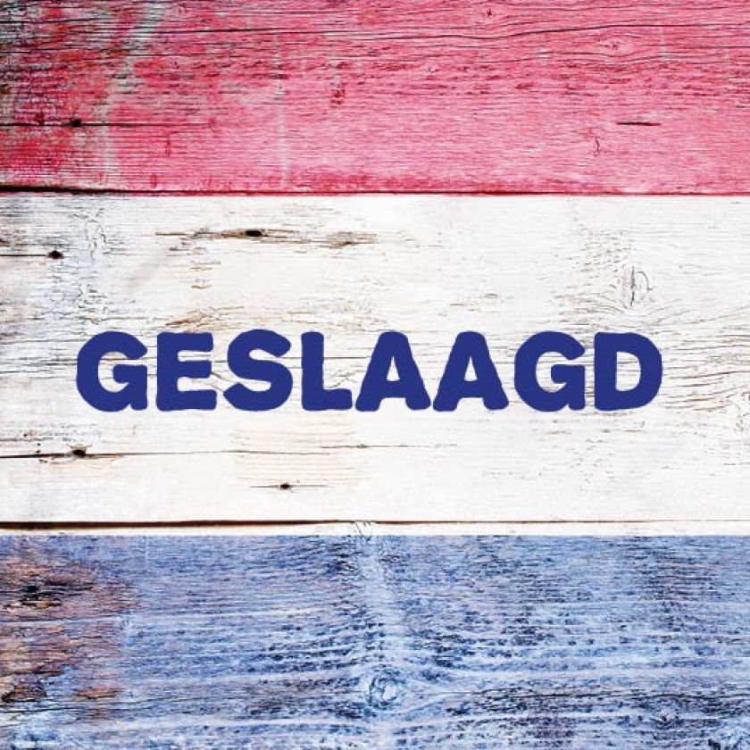 Kaart 'Geslaagd - rood wit blauw' - MA17016 -  Leef!  bij MajesticAlly