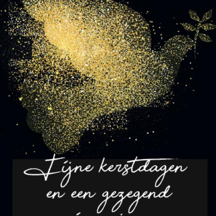 Voordeelpakje kerstkaarten  'Joy 2' - 16 stuks - MA26199 -  Voordeelpakjes kerst bij MajesticAlly