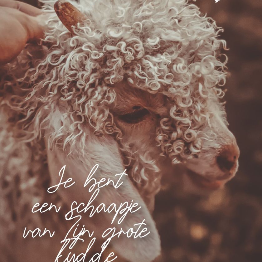 Interieurbord 'Je bent een schaapje' - MA44109 -  Interieurborden bij MajesticAlly