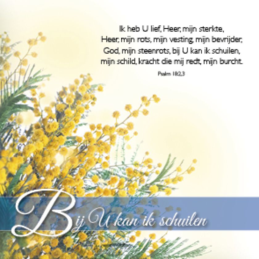 Kadokaartje bij U kan ik schuilen - MA46208 -  Cadeaukaartjes bij MajesticAlly