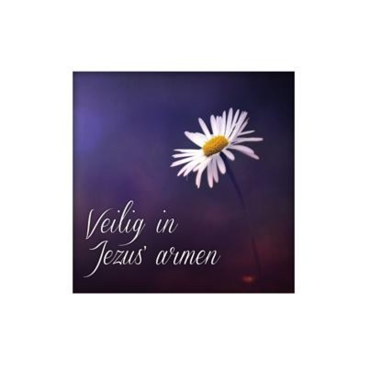 Sponsorpakket  'Living Melodies' voor een bijbel - MA15000S -  Living Melodies bij MajesticAlly