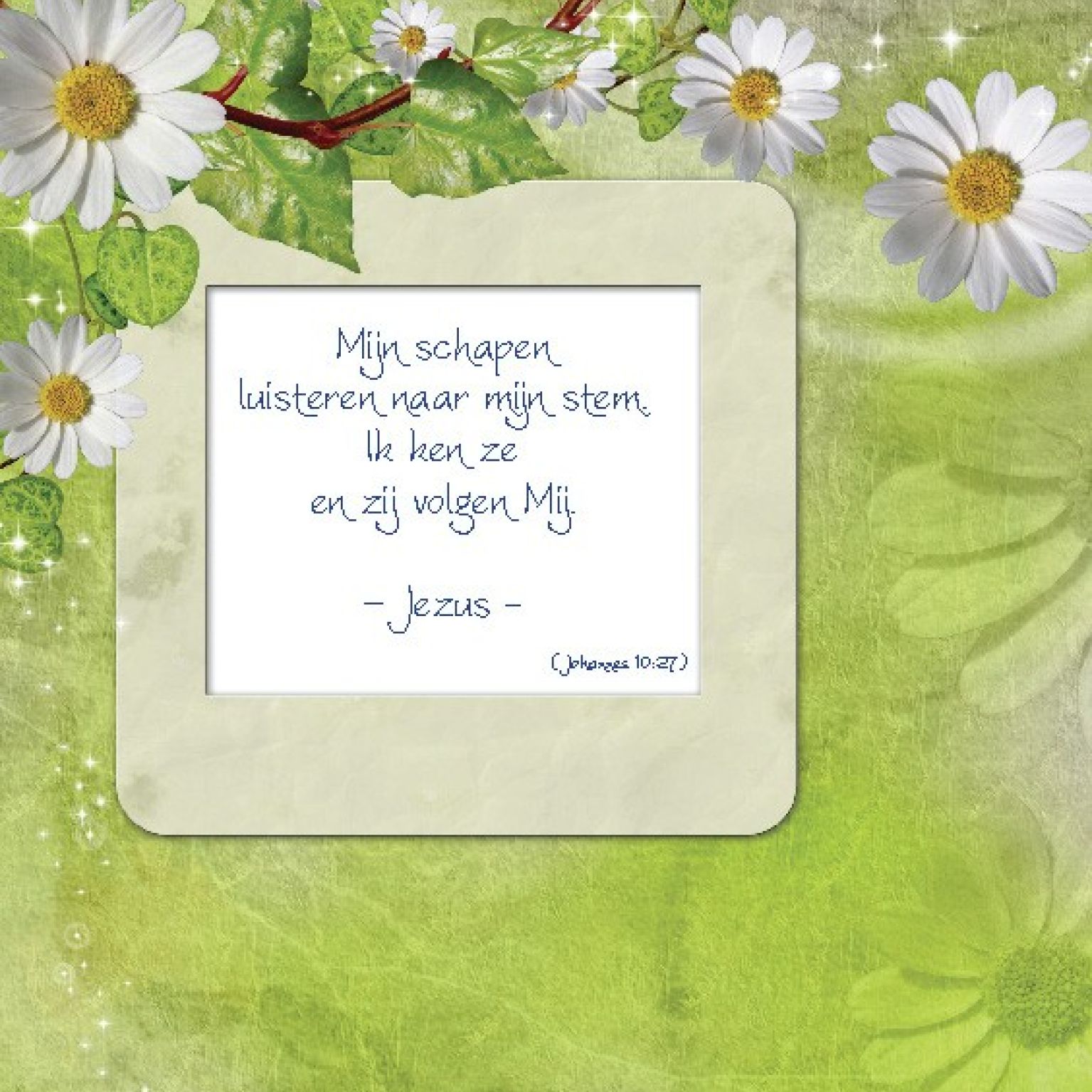 Choice kaartje mijn schapen luisteren - 42002 -  Minikaartjes - vierkant bij MajesticAlly