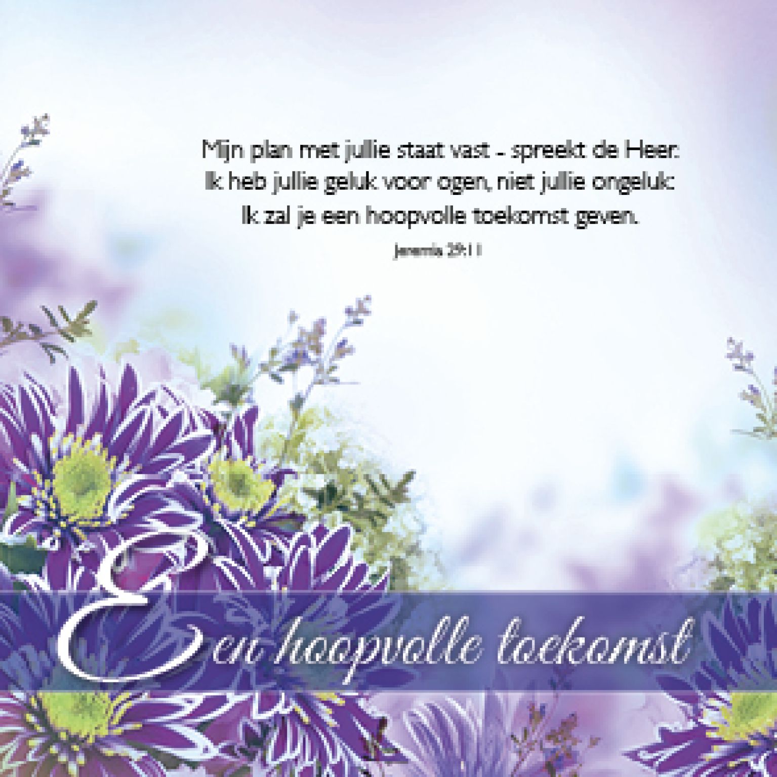 Kadokaartje x12 een hoopvolle toekomst - MA46209xx -  Sale bij MajesticAlly