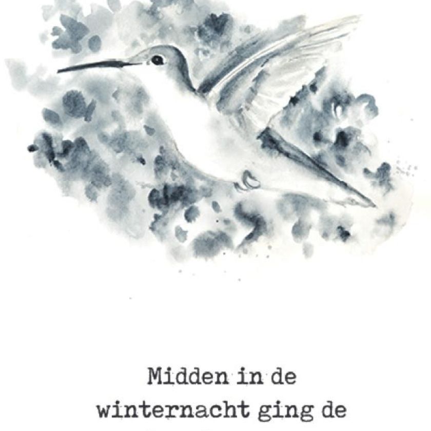 Voordeelpakje kerstkaarten  'Joy 2' - 16 stuks - MA26199 -  Voordeelpakjes kerst bij MajesticAlly