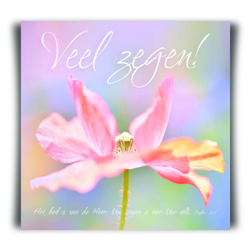 Choice kaartje veel zegen - MA11215 -  Minikaartjes - vierkant bij MajesticAlly