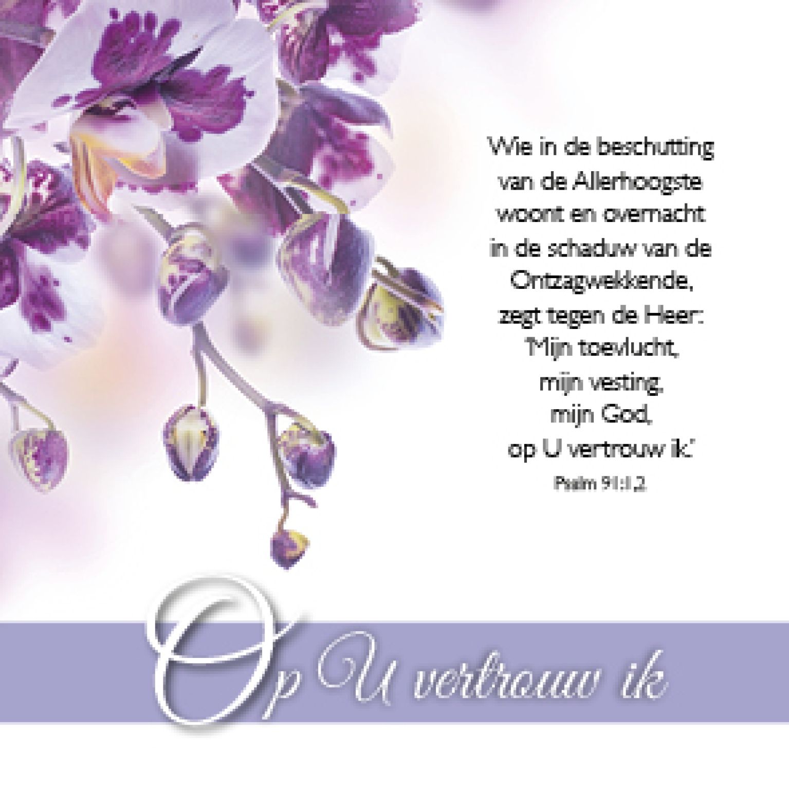 Kaart 'Op U vertrouw ik' - MA46113 -  Bemoediging