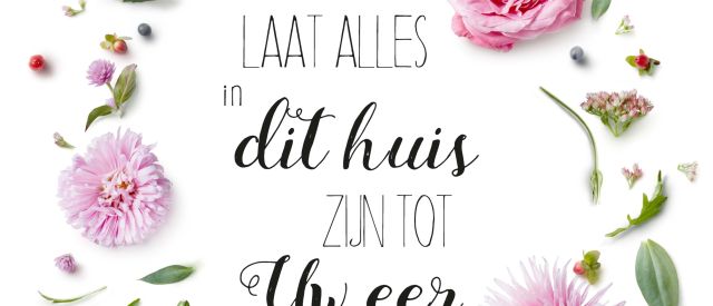 MA17628 scaled 8c8795af