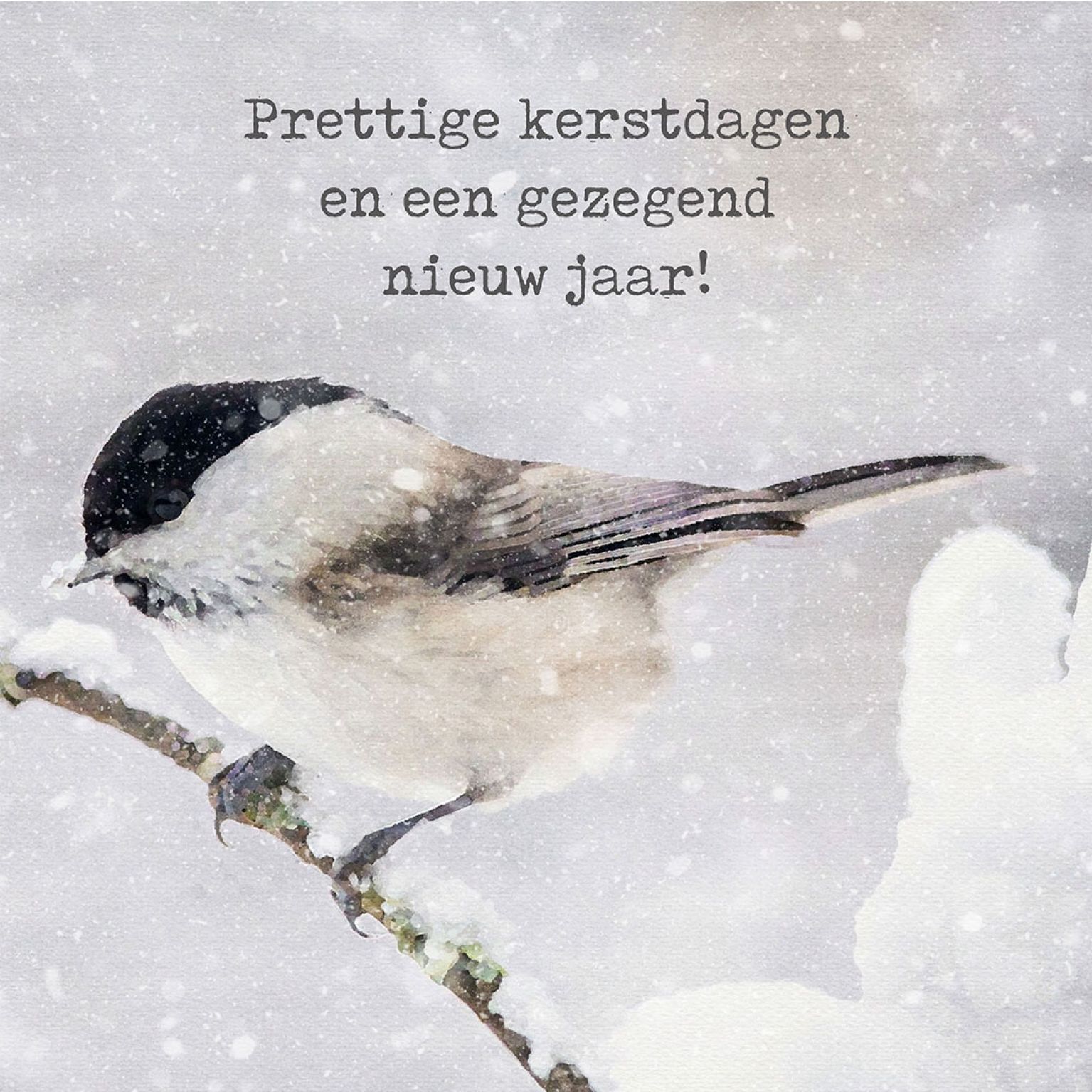 MA41213 - Minikerstkaart 'Vogel op tak'