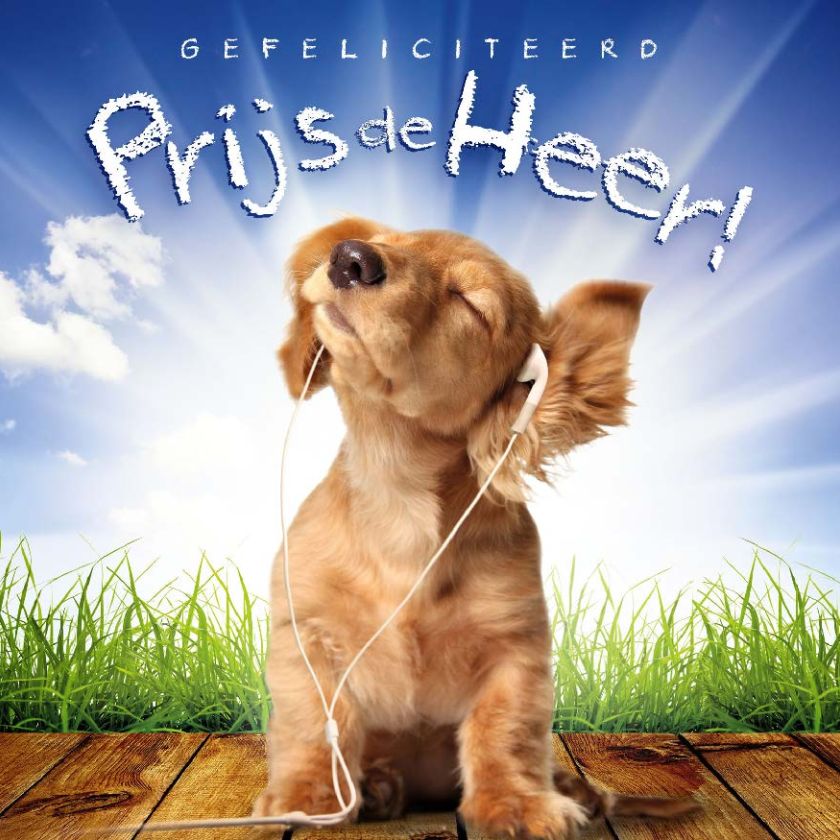 Kaart 'Gefeliciteerd - Prijs de Heer!' - MA11001 -  David Sörensen bij MajesticAlly