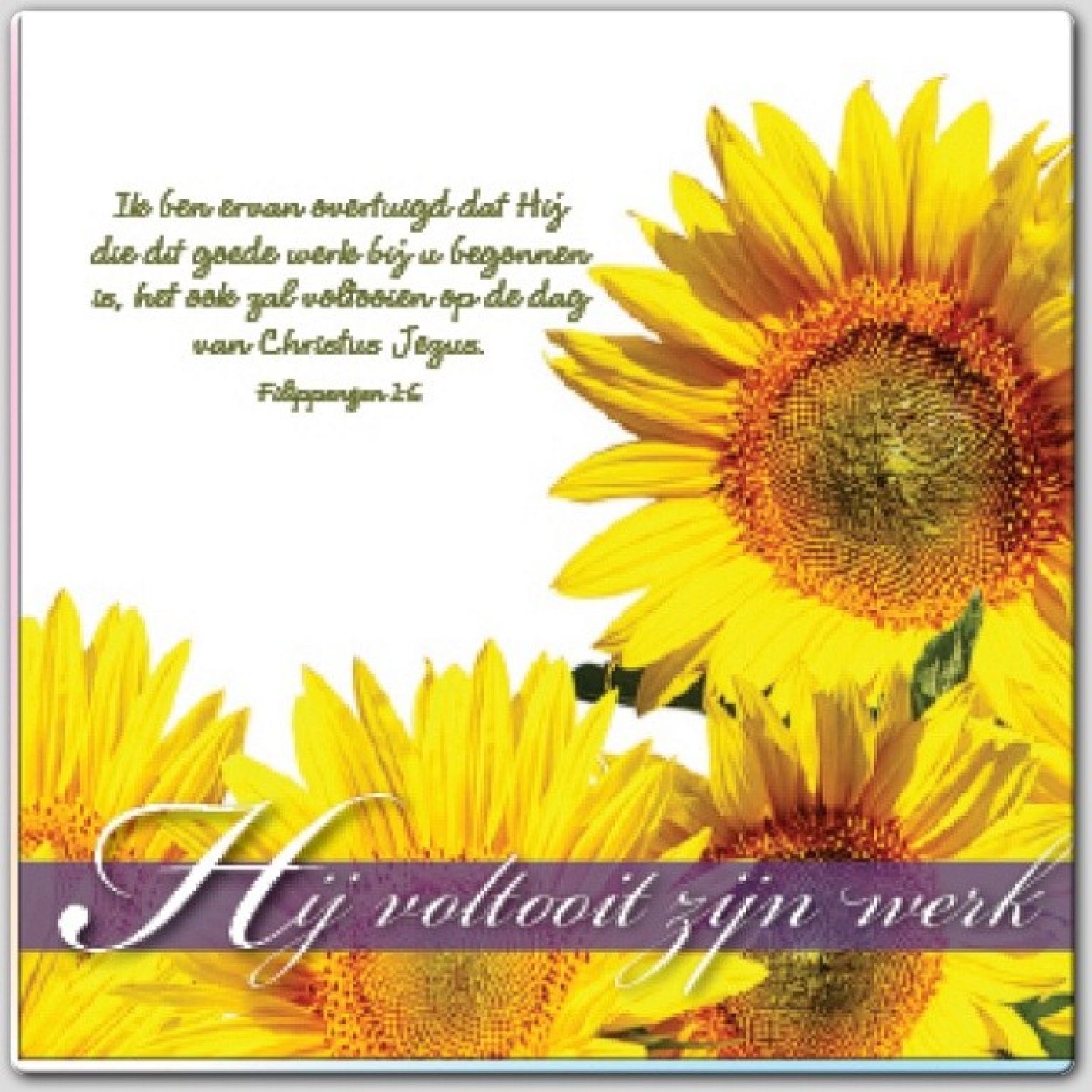 Wenskaart 'Hij voltooit zijn werk' - 46162 -  Bemoediging bij MajesticAlly