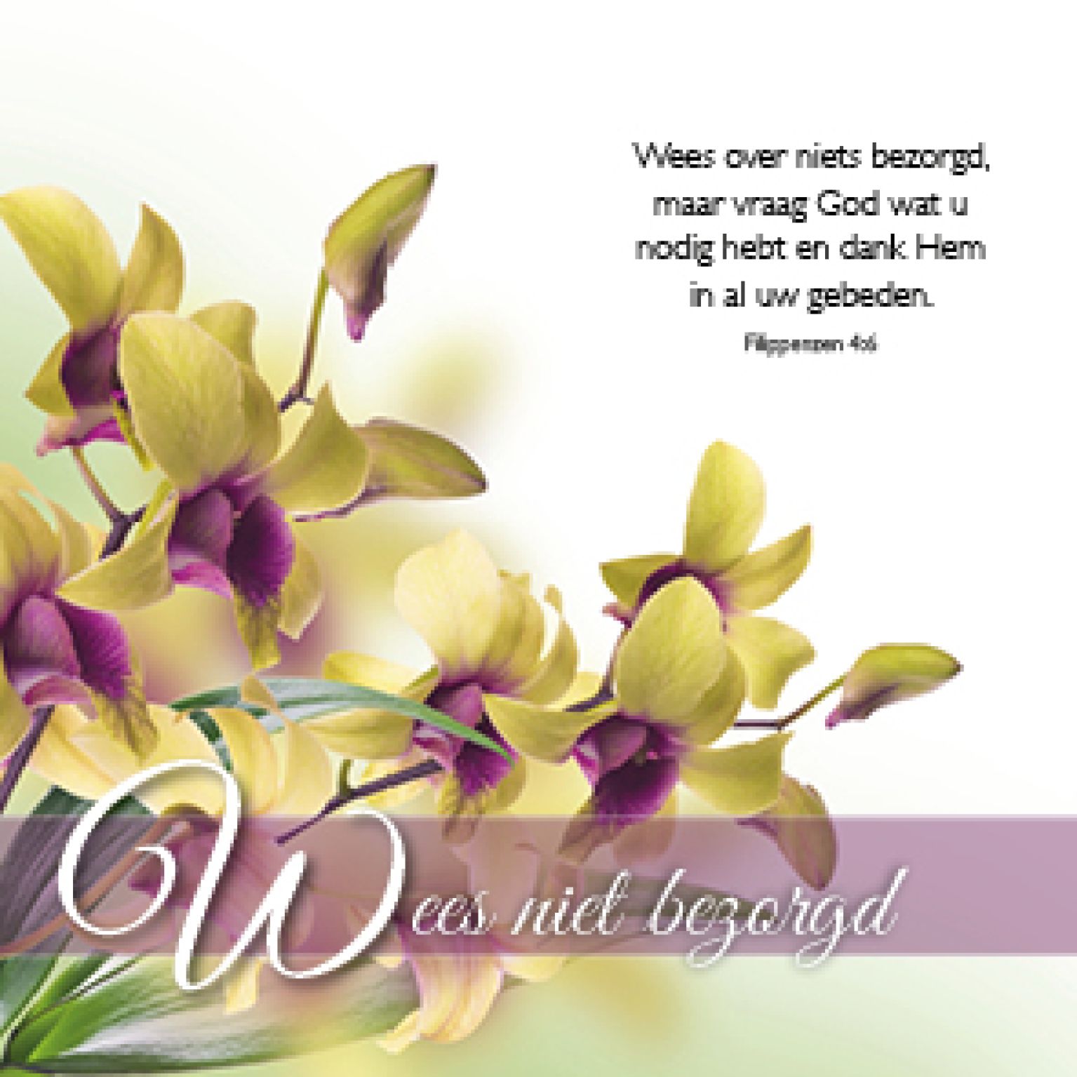 Kaart 'Wees niet bezorgd' - MA46115 -  Bemoediging