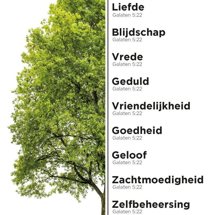 MA11632 - A4-bord Boom