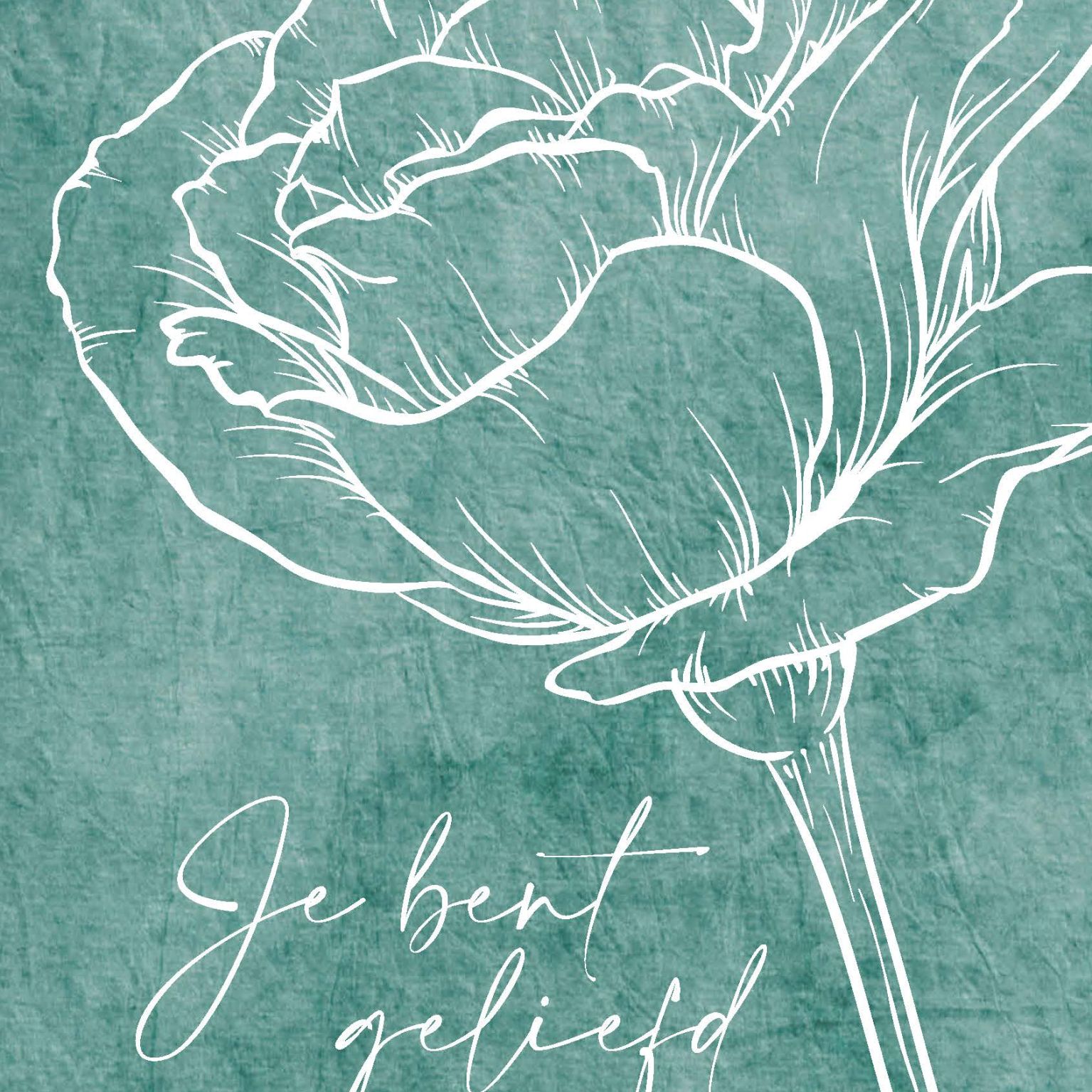 MA55024 - Wenskaart 'Je bent geliefd'