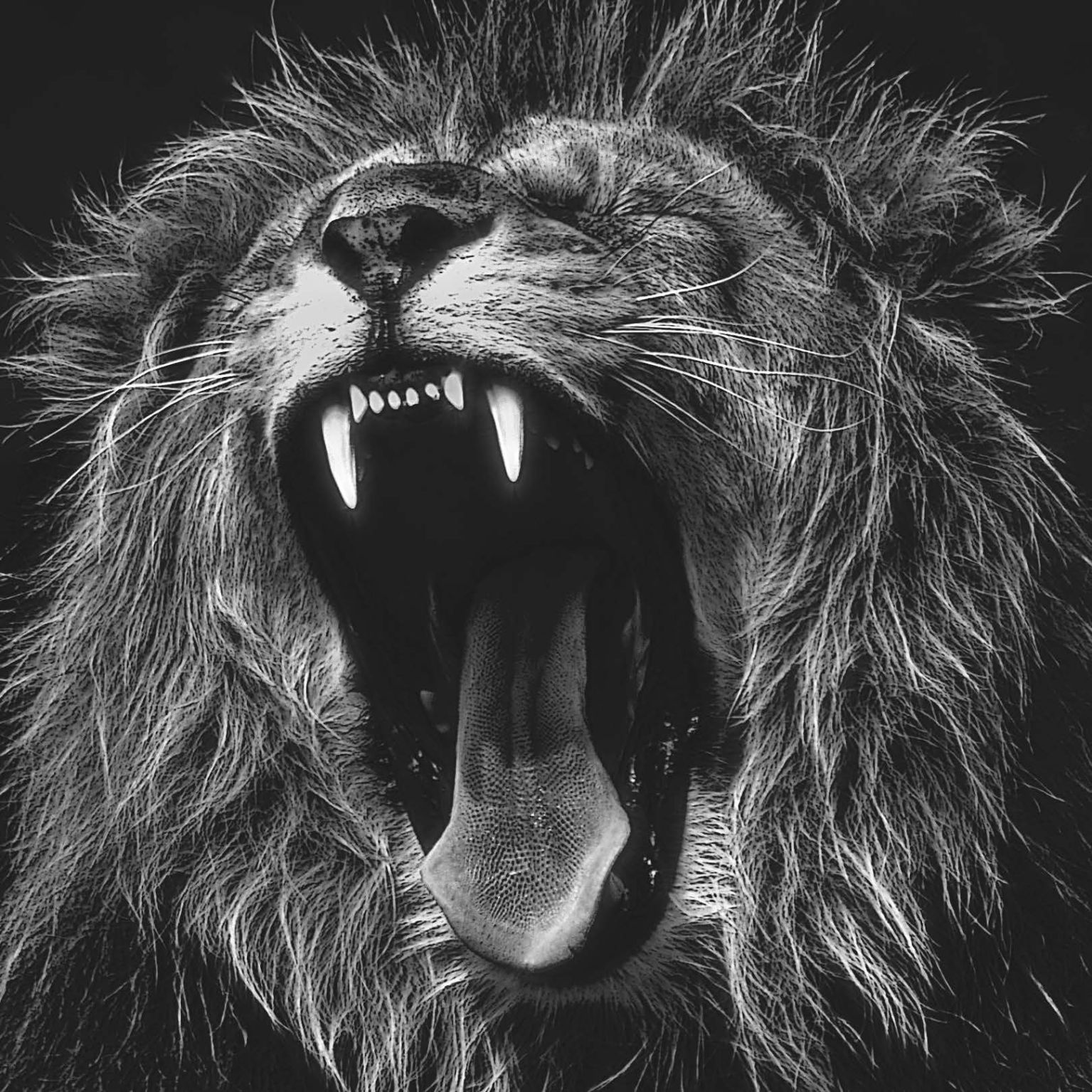 Collage Deco 'Brullende leeuw' - 14x14 cm - MA39131 -  Wanddeco bij MajesticAlly