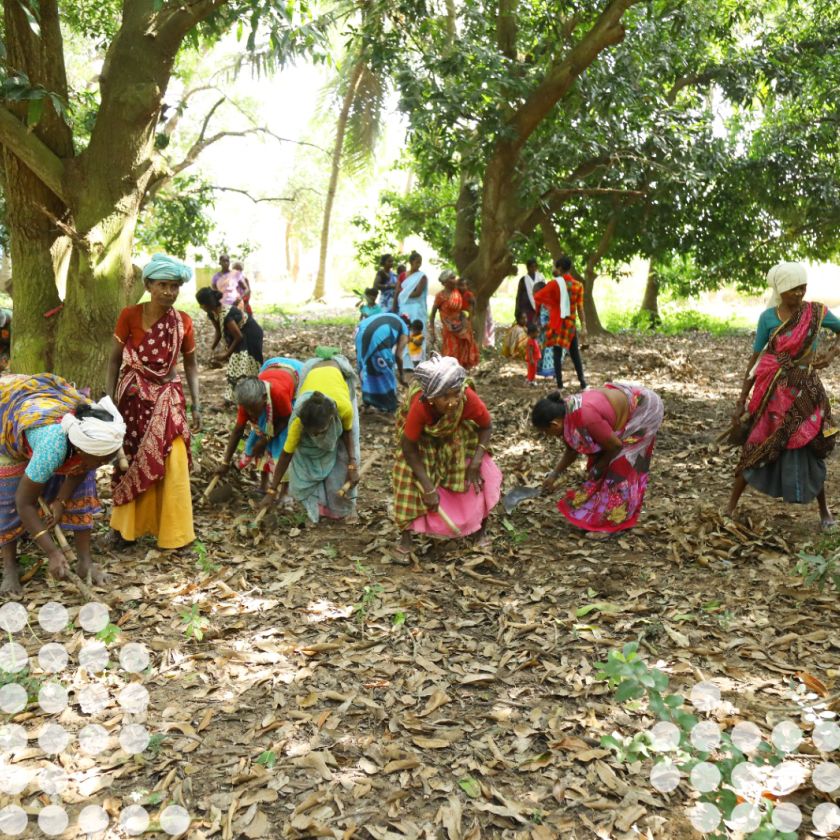 PHOTO 2024 01 24 03 58 26 dots 929a2764