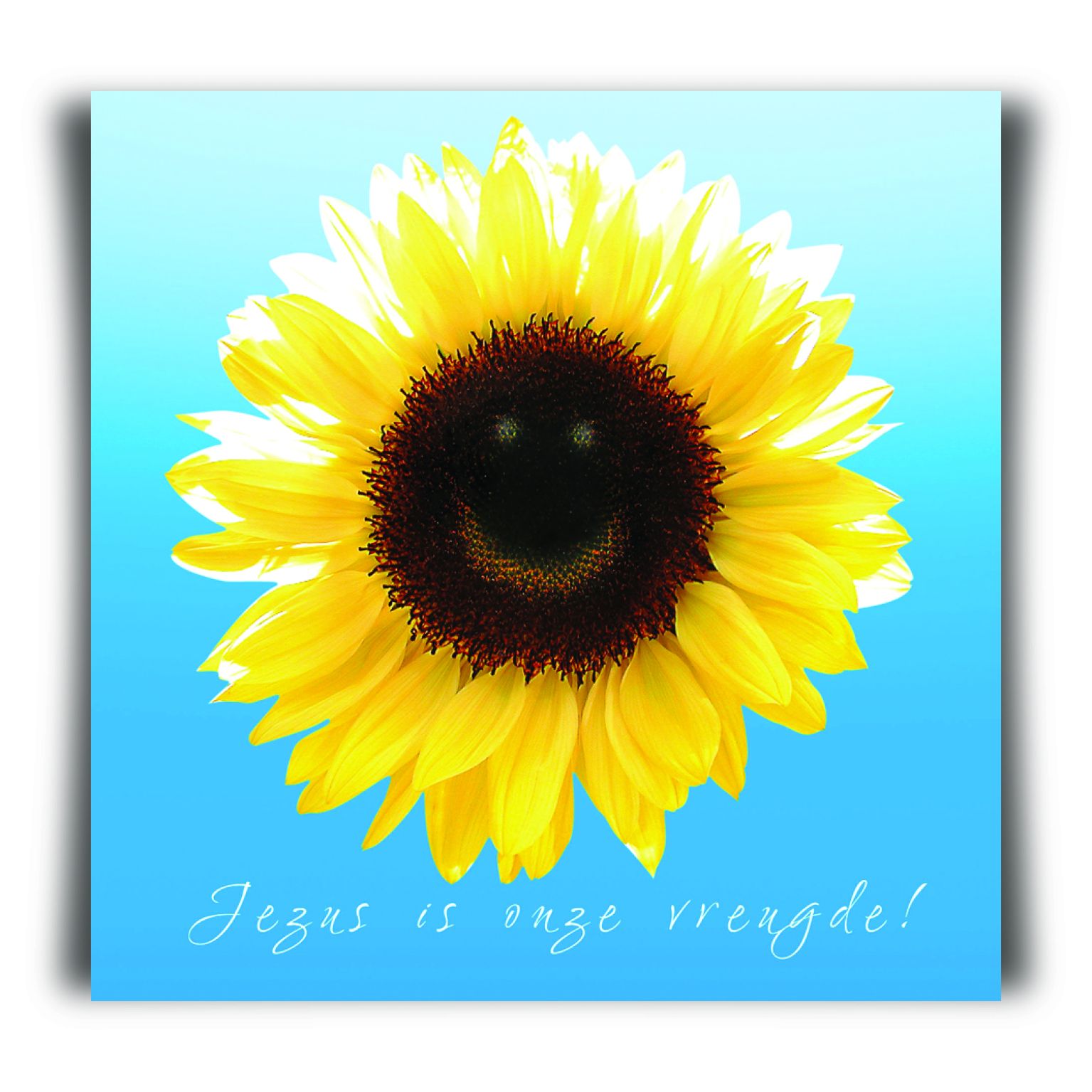 Choice kaartje Jezus is onze vreugde - MA11212 -  Minikaartjes - vierkant bij MajesticAlly