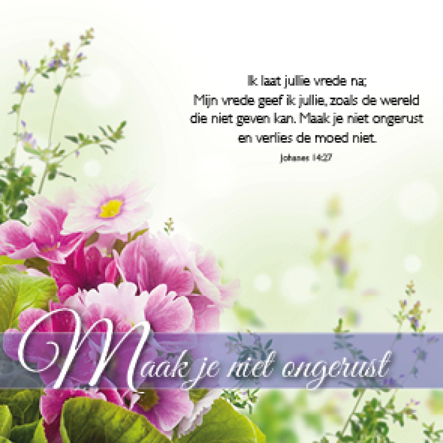 Kaart 'Maak je niet ongerust' - MA46120 -  Bemoediging