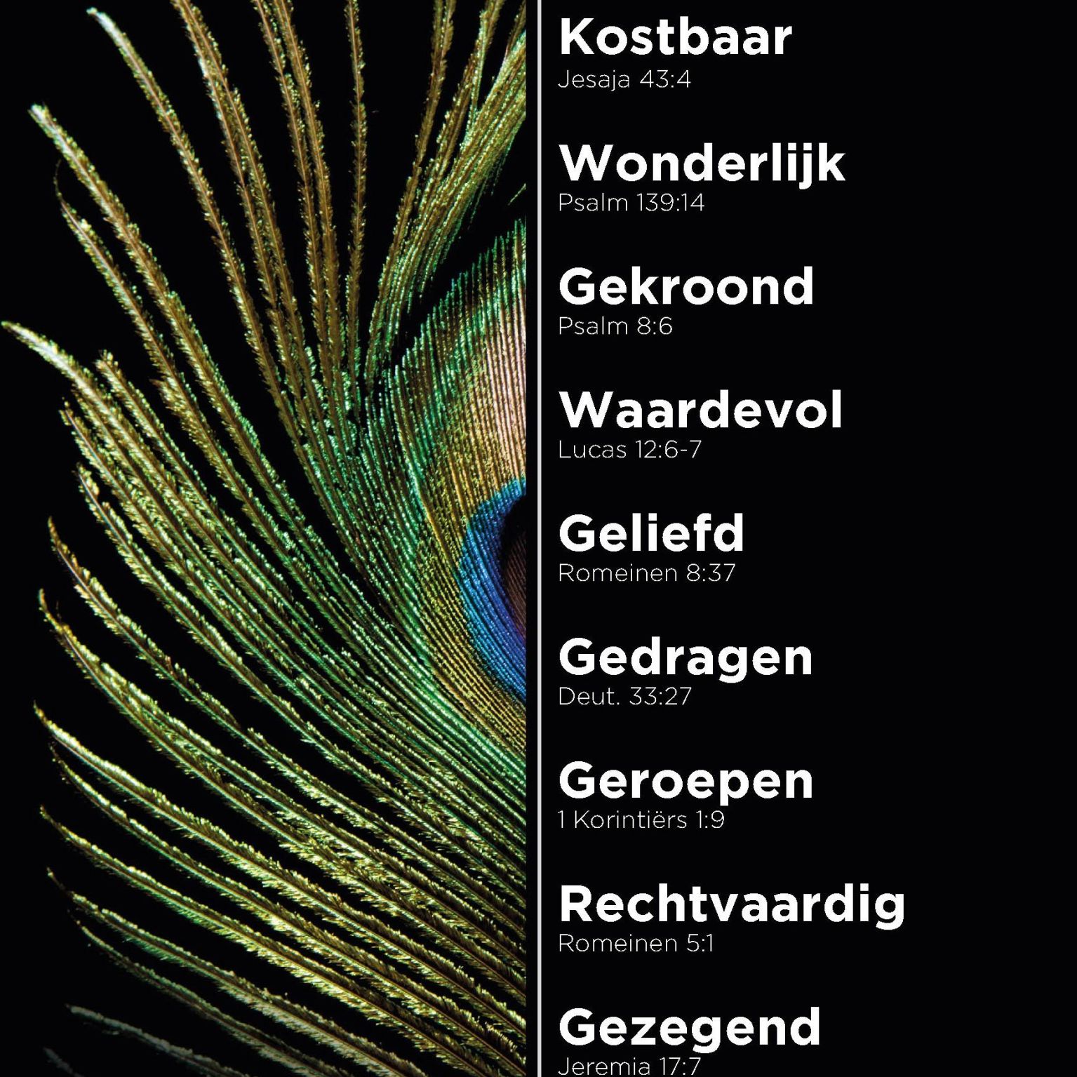 200006135 1 3 94928af3