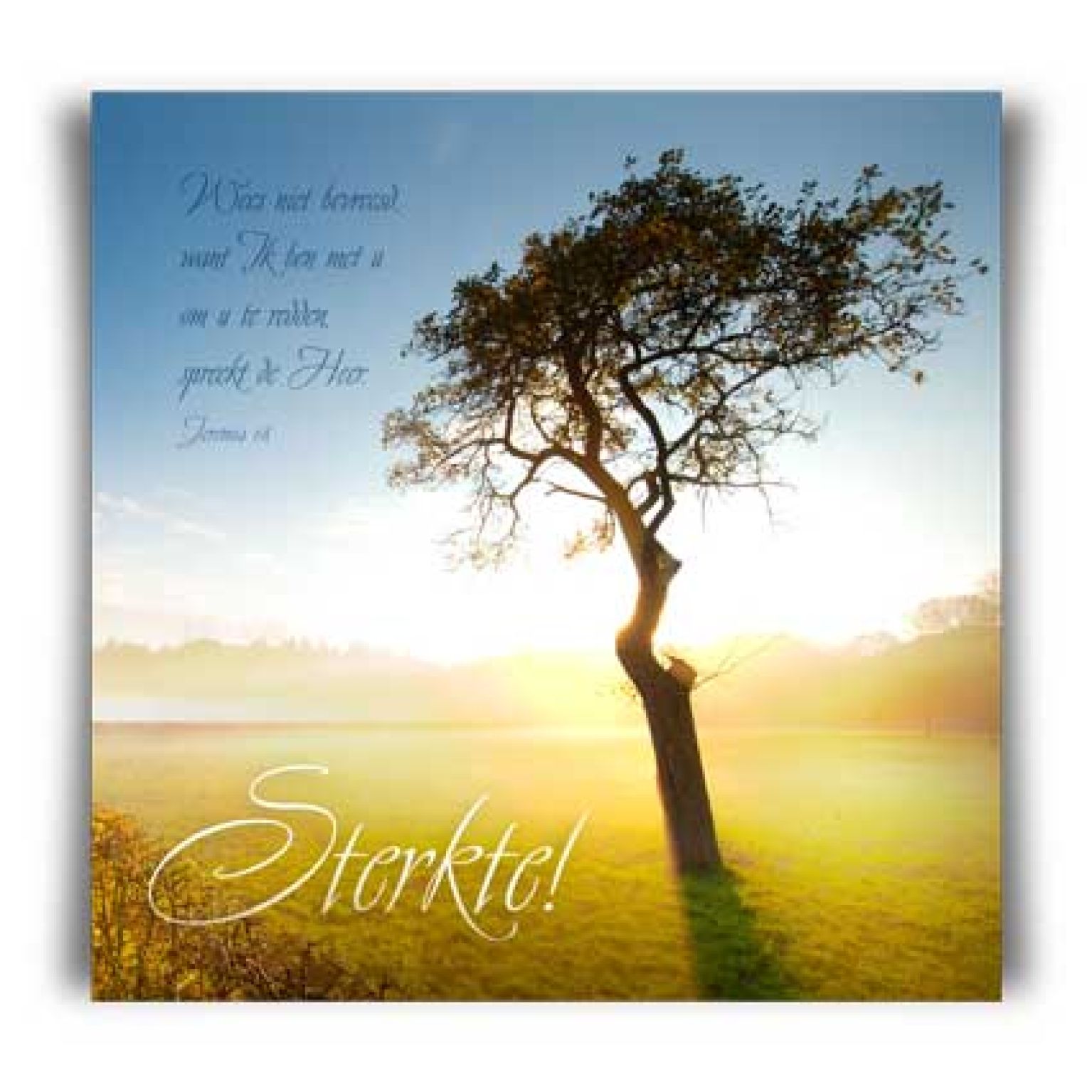 Kaart 'Sterkte - wees niet bezorgd' - MA11015 -  David Sörensen bij MajesticAlly