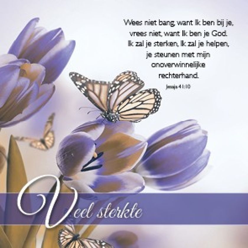 Voordeelpakket 24 kaarten Blessings - MA46250 -  Voordeelpakjes bij MajesticAlly