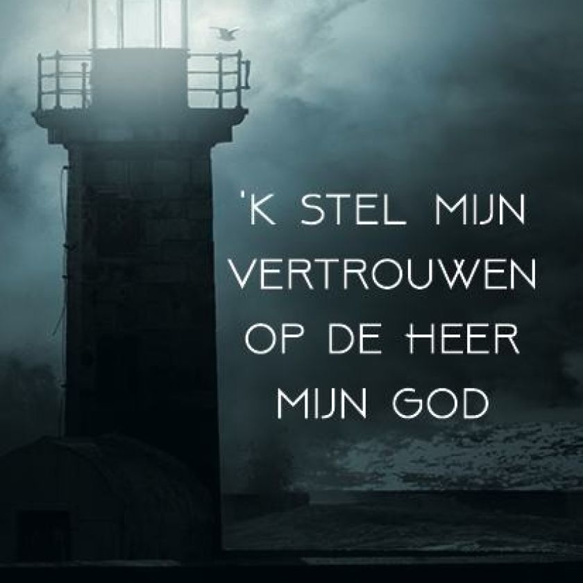 Pakket voordeelkaarten serie 1 - MA38075 -  Voordeelpakjes bij MajesticAlly